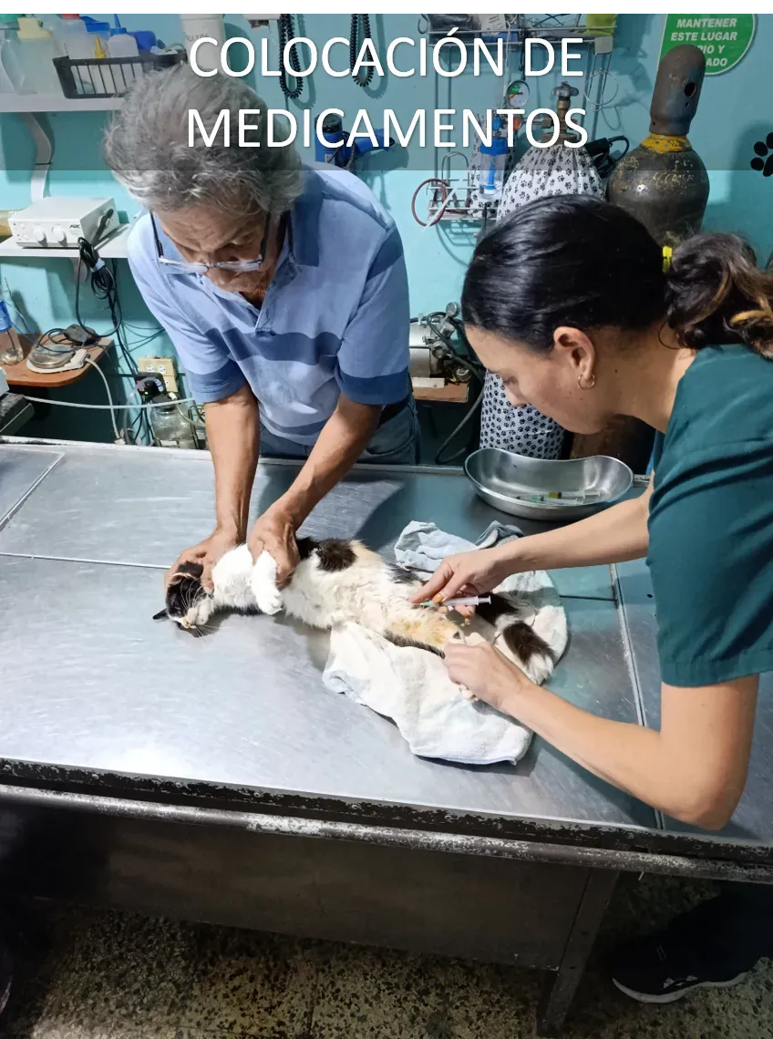 Curas, tratamientos y emergencias